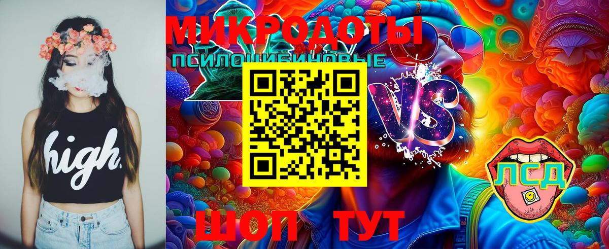 Псилоцибиновые грибы GOLDEN TEACHER  Вход с VPN  Елец  Псилоцибиновые грибы мухоморы 