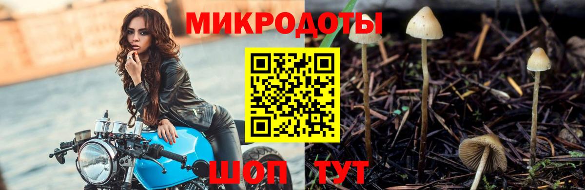 Псилоцибиновые грибы MAGIC MUSHROOMS Елец