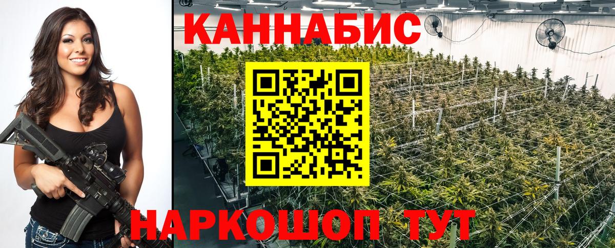 Конопля конопля Елец